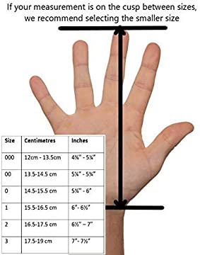 41YG-grmZcL._AC_CR0,0,0,0_SX480_SY360_